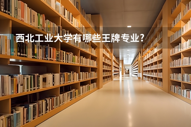西北工业大学有哪些王牌专业?
